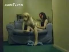 Good time seeking brute sex paramour getting drilled by a dog 